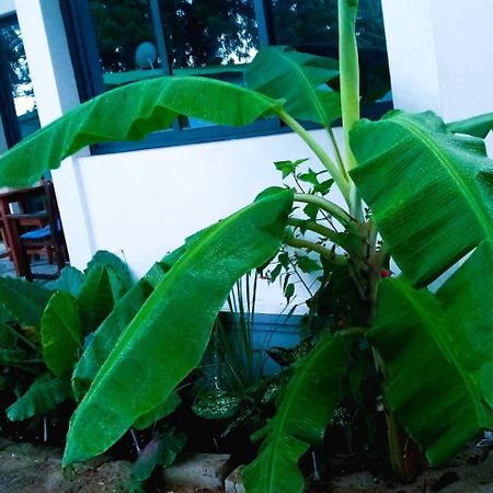 Bungalow Ramena Beach Antsiranana Andjamen Eksteriør bilde